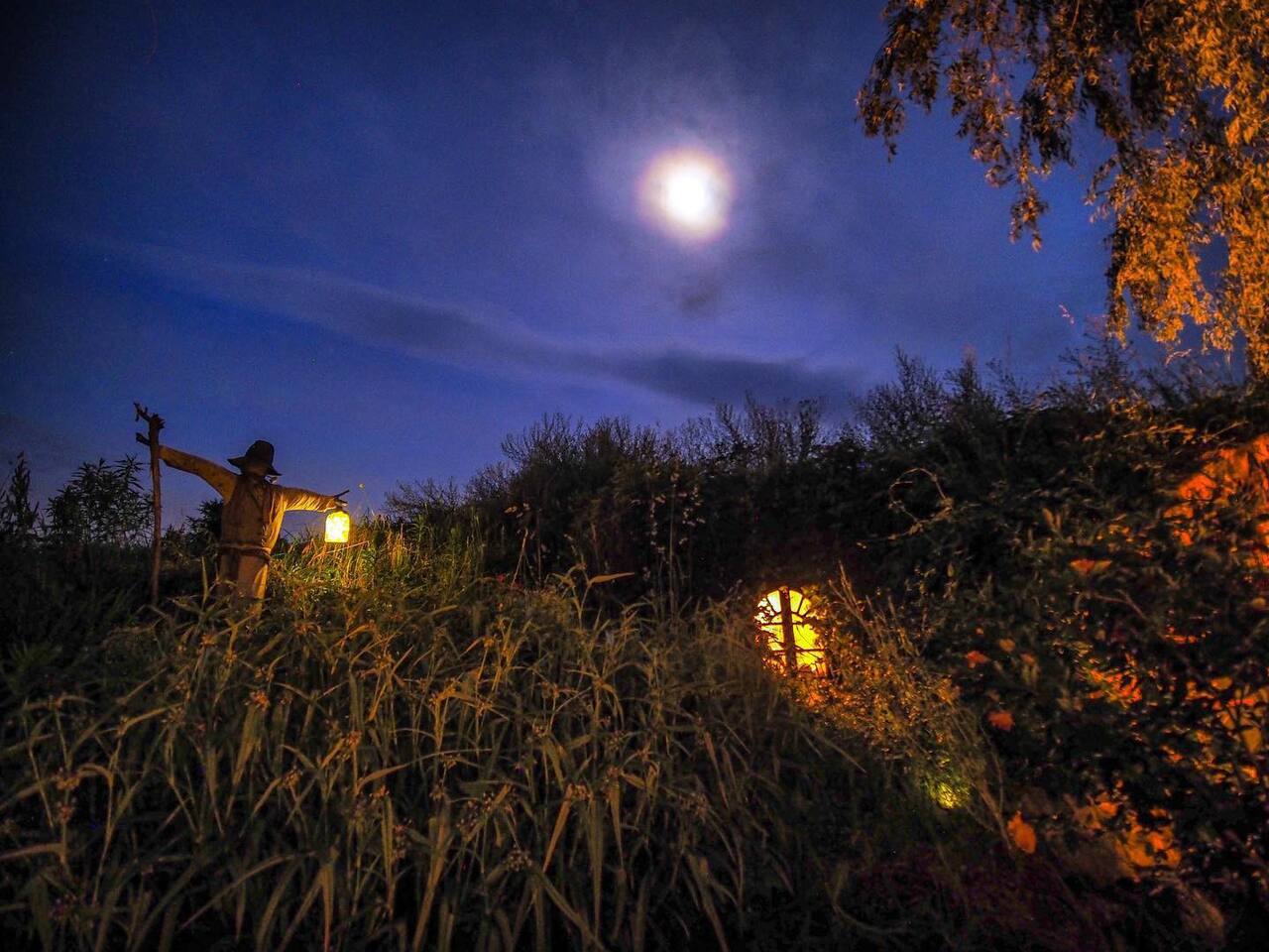Our Scarecrow constantly keeps a watchful eye for Dragons, Dwarves, Trolls and Evil Necromancers!
