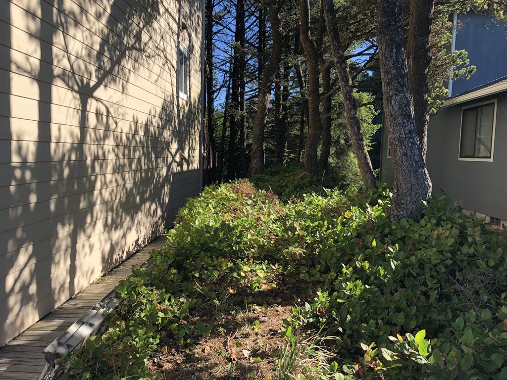 Walkway on south side of House leading to the main deck. View looking east.