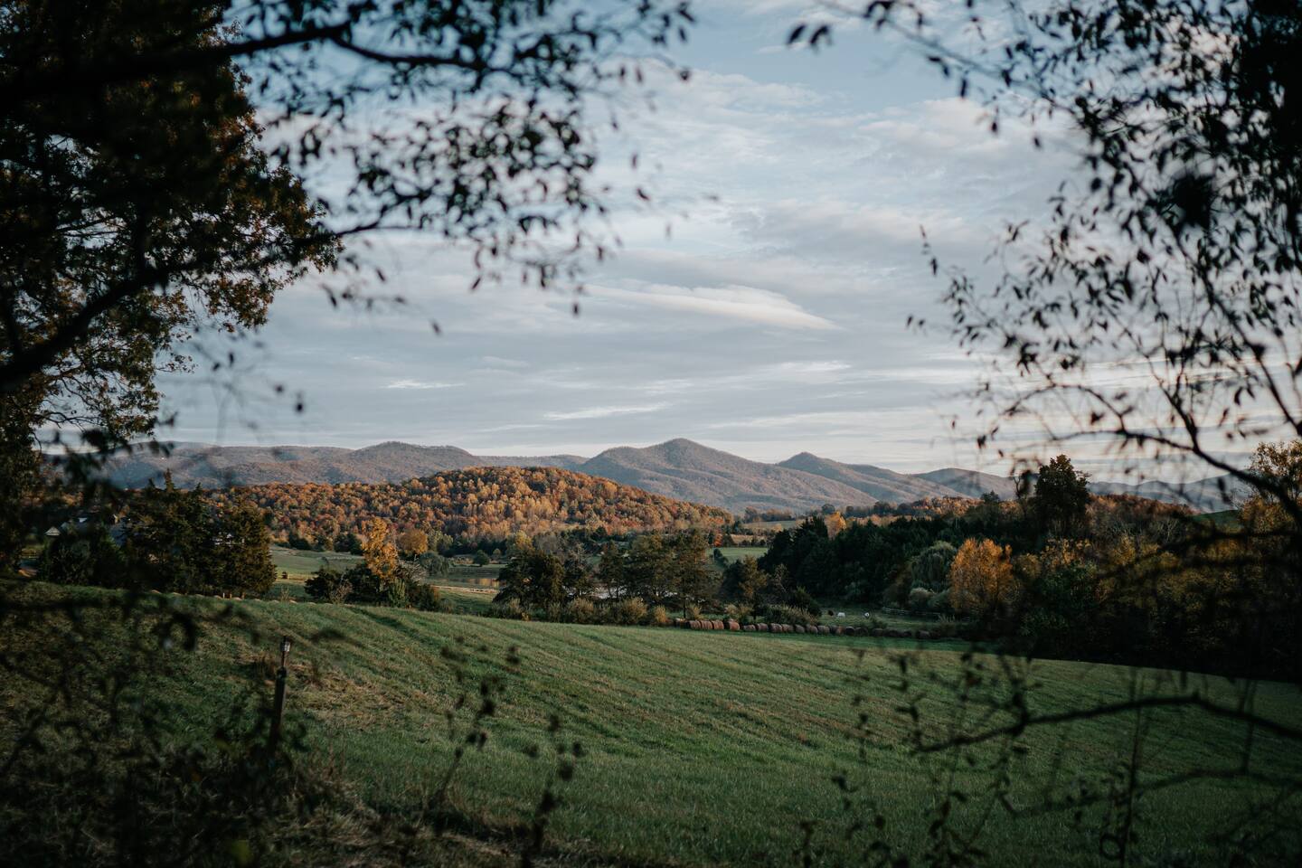 View of the Blue Ridge Mountains  when returning from the "MIrkwood  Forest" hiking trail that meanders along the creek. Molly Majher Photo. Thank you!