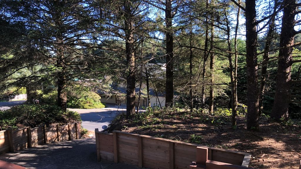 Driveway entering the Sea Haven. Treed lot secluded from the street.