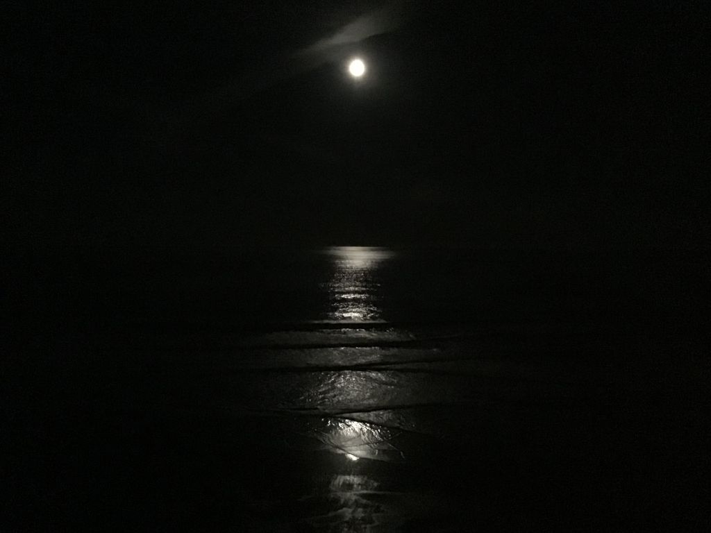 Nothing more pleasurable than to get up at night and view the moon lit ocean.