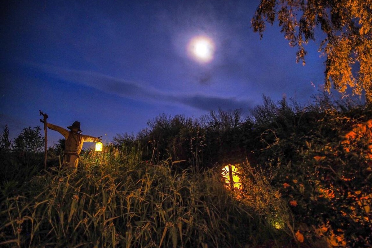 Our Scarecrow constantly keeps a watchful eye for Dragons, Dwarves, Trolls and Evil Necromancers!