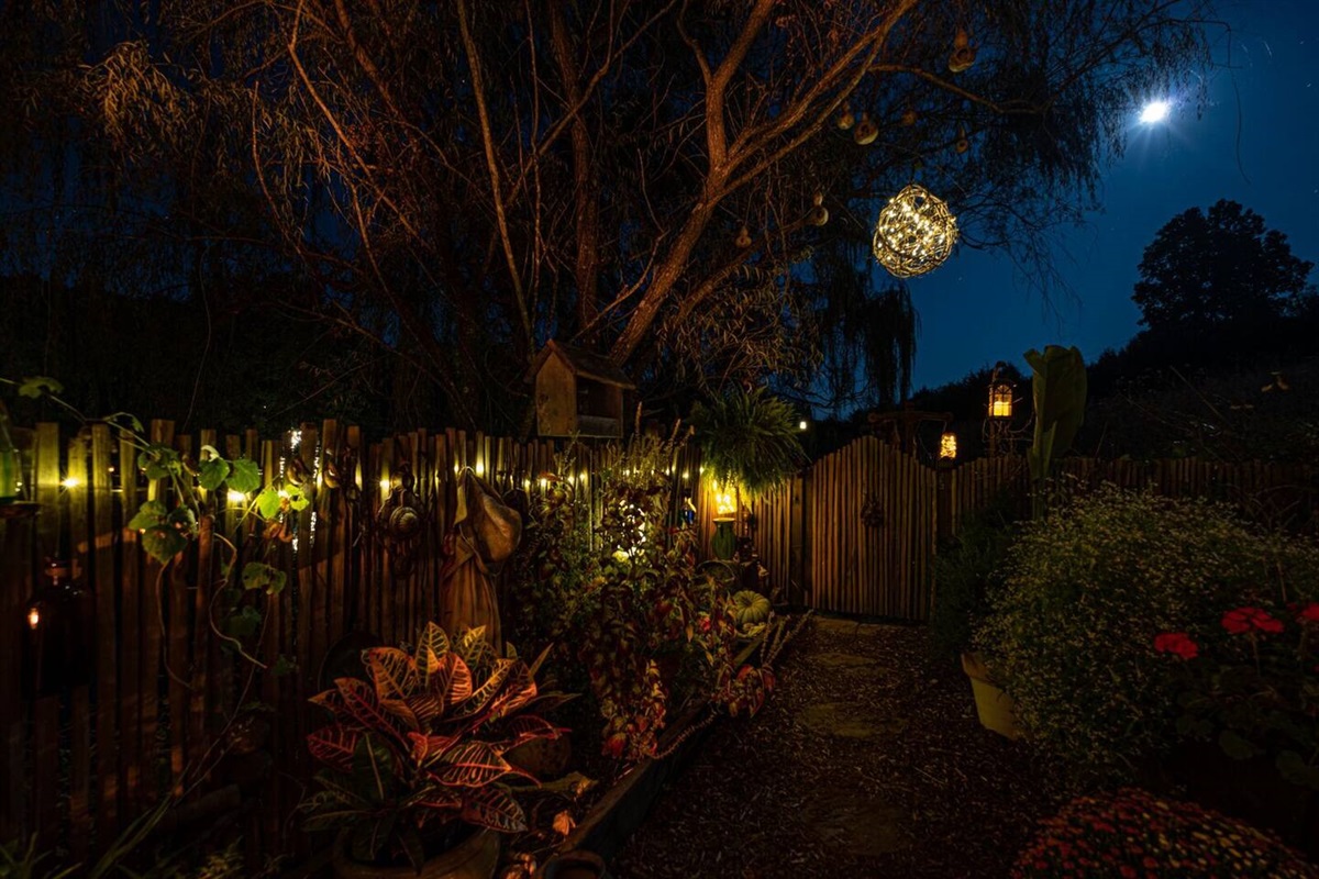 Experience the " Magic" of a calm, peaceful and tranquil night in the Courtyard. Steve Parke Photo